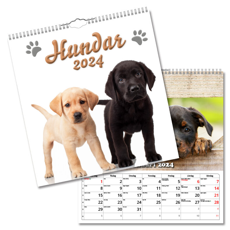 Väggkalender Hundar Large 2024 315x330mm