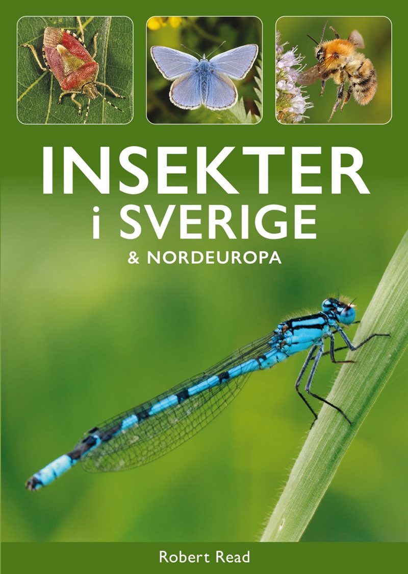 Insekter i Sverige & Nordeuropa